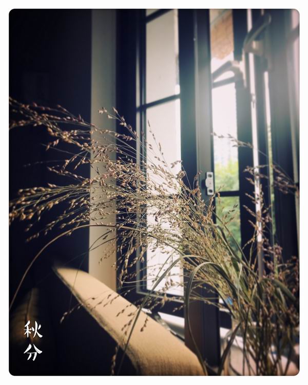 小马拉大车亲姐姐