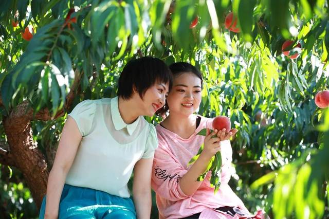 火影忍者日向花火本子