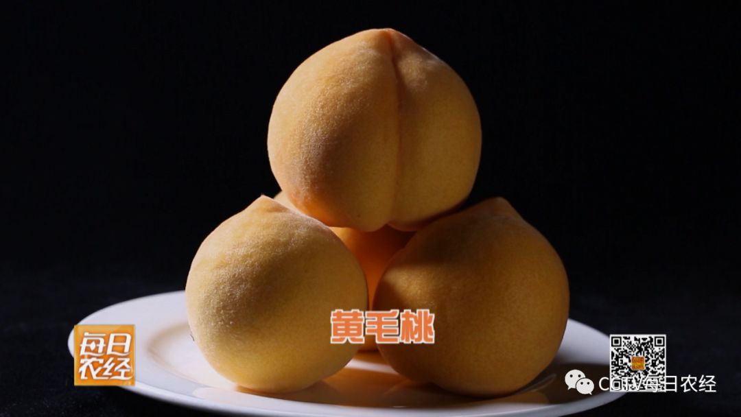 小视频 小视频如果你想学习制作