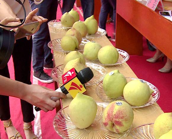 小视频 小视频如果你想学习制作