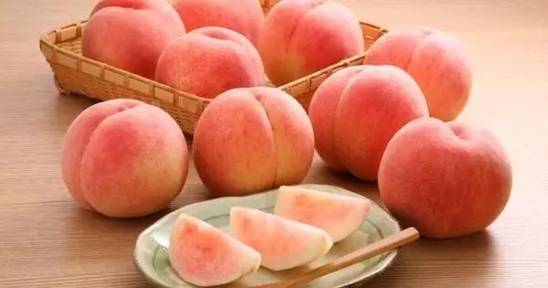 麻豆旗下女艺人