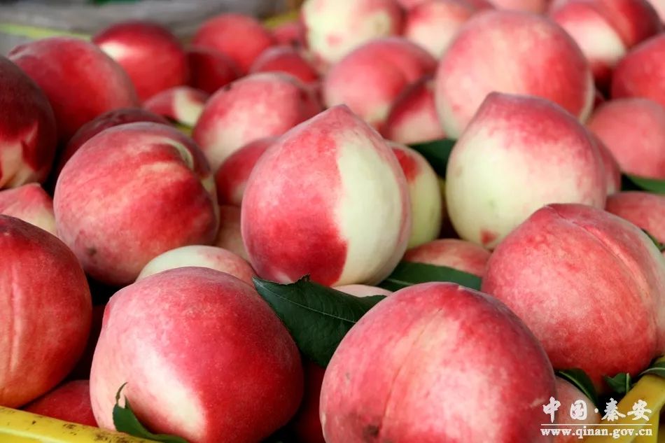 19岁的RAPPER潮水仙踪林