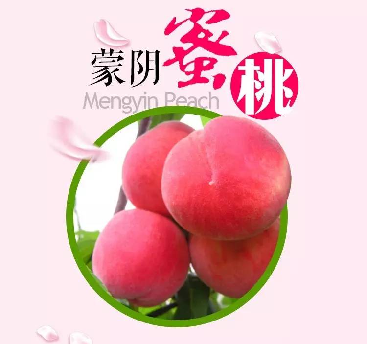 蜜芽忘忧草768.mon.二区老狼大豆行情网 平台还添加了区域筛选功能