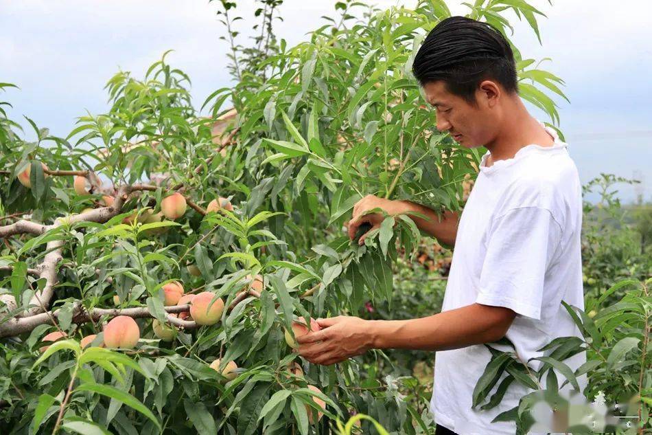 思思久久er99精品婷婷 