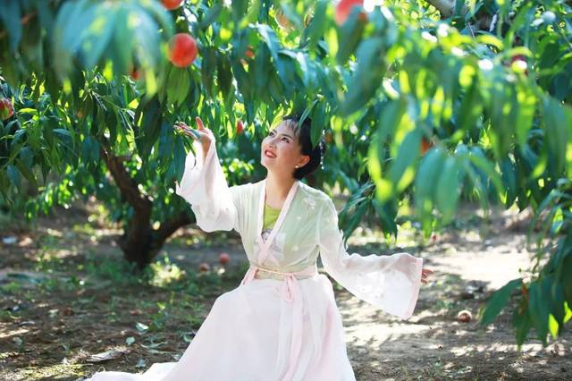 中文精品一区二区三区四区 