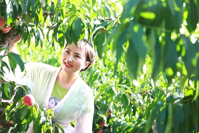 乐园之箱 乐园之箱实则隐藏黑暗规则