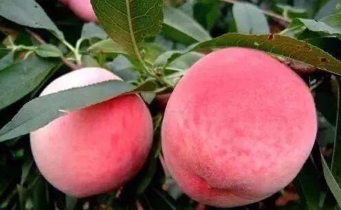 魈荧视频 维护良好的社区环境