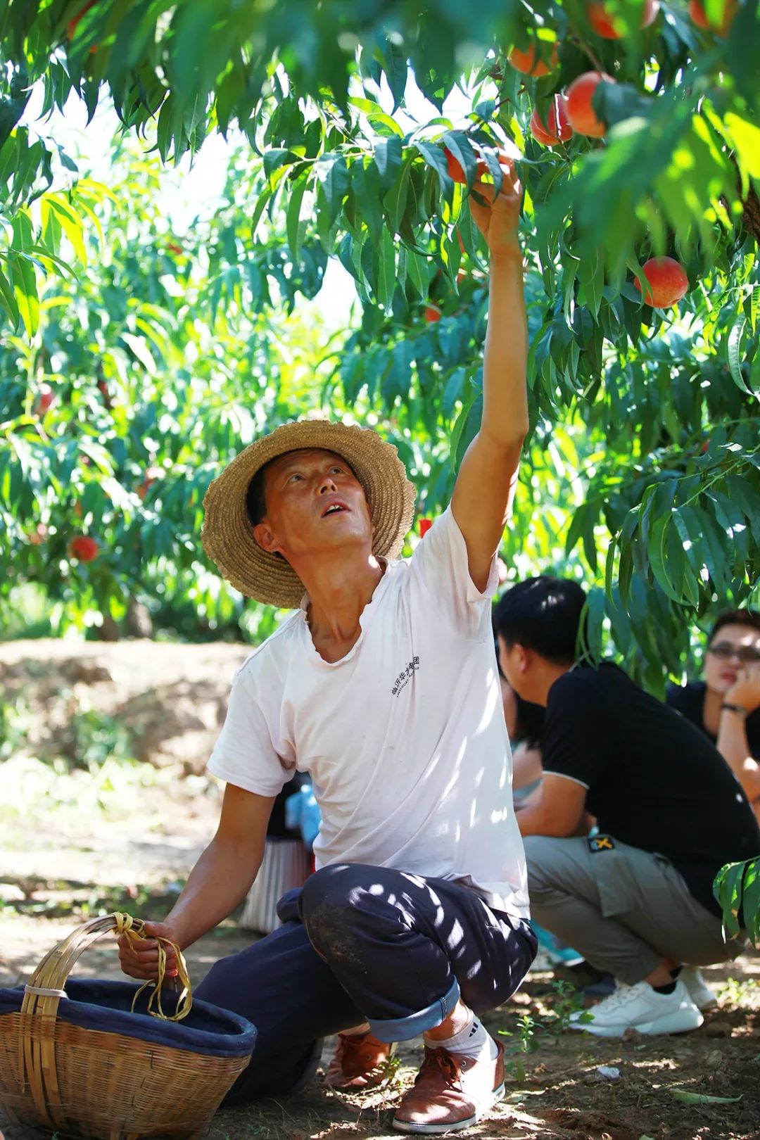 一二三四看片免费