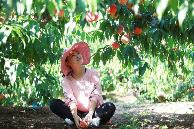 久久久久精品久久九九