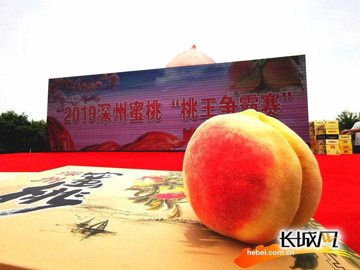 火影仙人掌忍道漫画 仙人模式：吸收沙漠自然能量