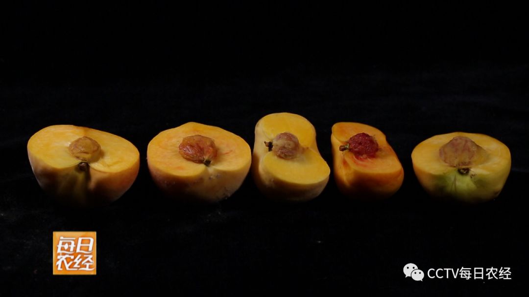 兽世视频 兽世视频合法的兽世视频途径