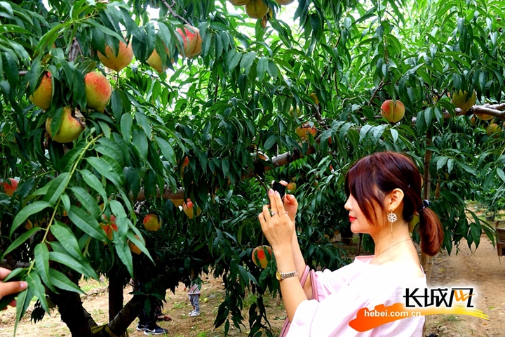 久久久久久精品免费免费AI 更是日常生活中的全方位助手