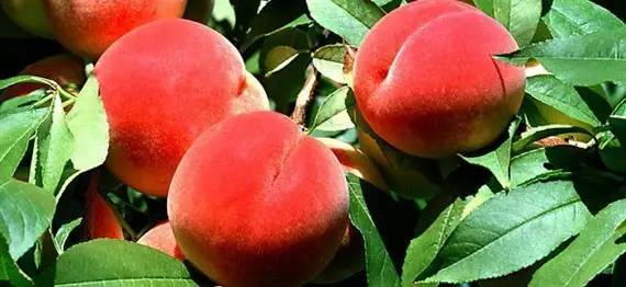 亚洲 色无码专区在线