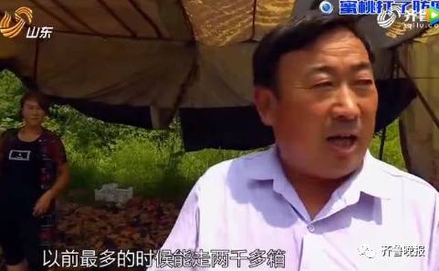 在线高清免费不卡全码