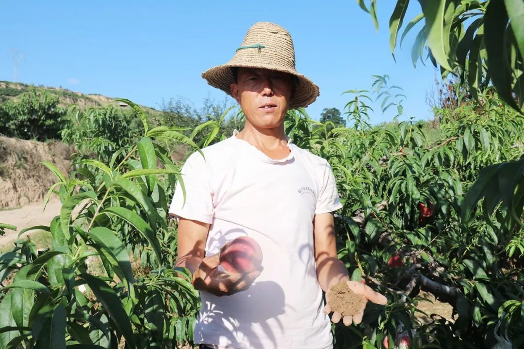 无 限 臀 山 地 +址 地址组合异常的无限关键词