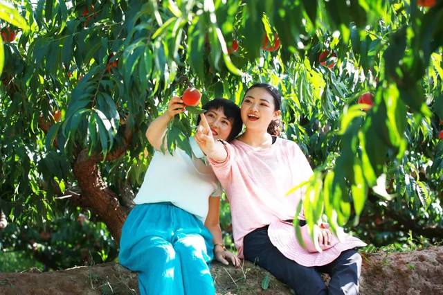 h动漫在线 请告诉我你的动漫线兴趣点