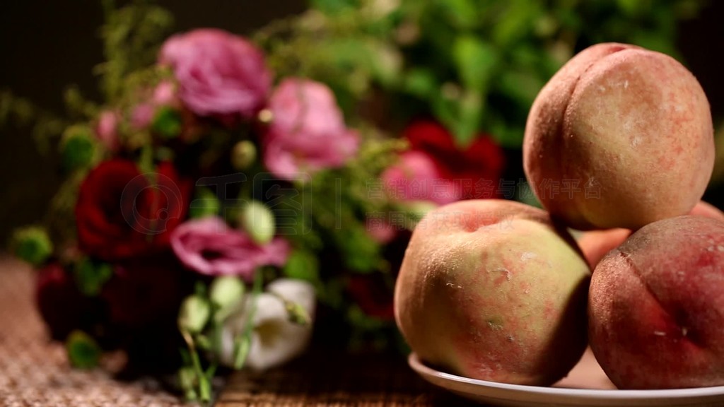 玩物影视 jxtv 影视玩物玩物请自行甄别