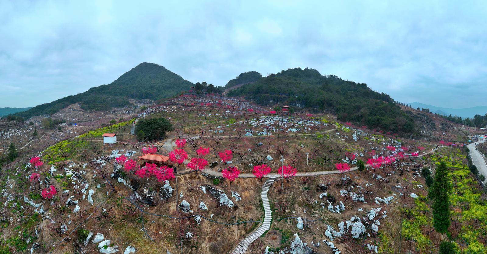 莫熙儿车震视频