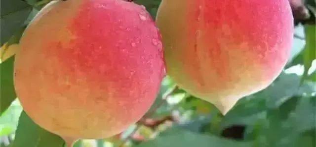 3d同人剧情 人剧理解等普世主题