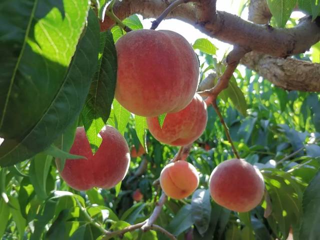 无限臀区 根据常见的无限臀区语境