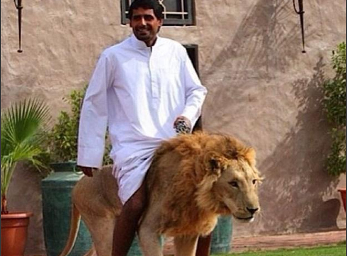 人人妻人人澡人人爽人人精品 