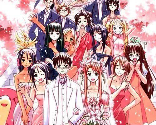 野花社区观看免费视频6