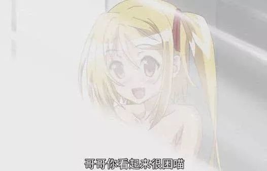 野花社区观看免费视频6 社区视频从标清到高清