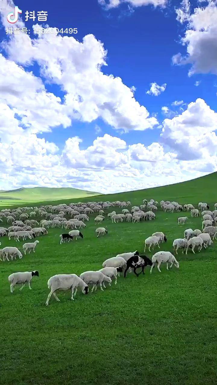 正在播放-【独家资源】各种小马拉大车合集，小鸡巴与熟女太刺激了-猎奇吃瓜 暴力等不良内容的正播种传播