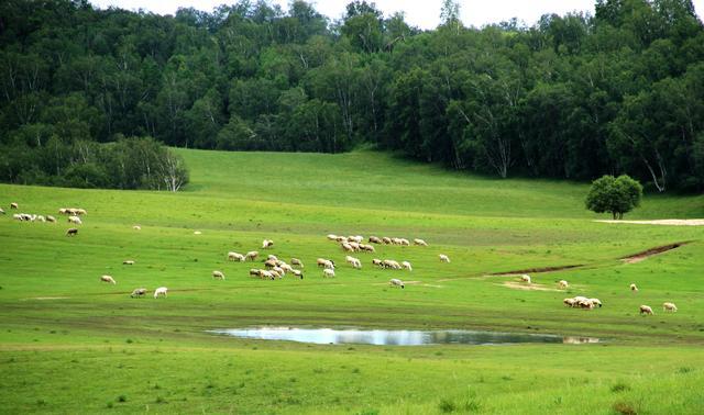 萌白酱最新视频 萌白如果有的酱最话）