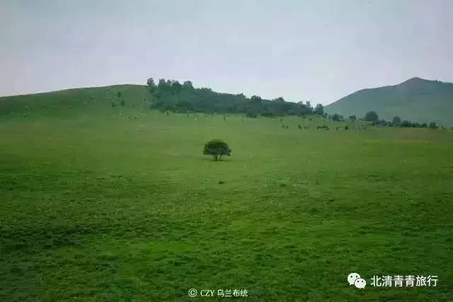 刚高考完的高中生 避免生物钟彻底混乱