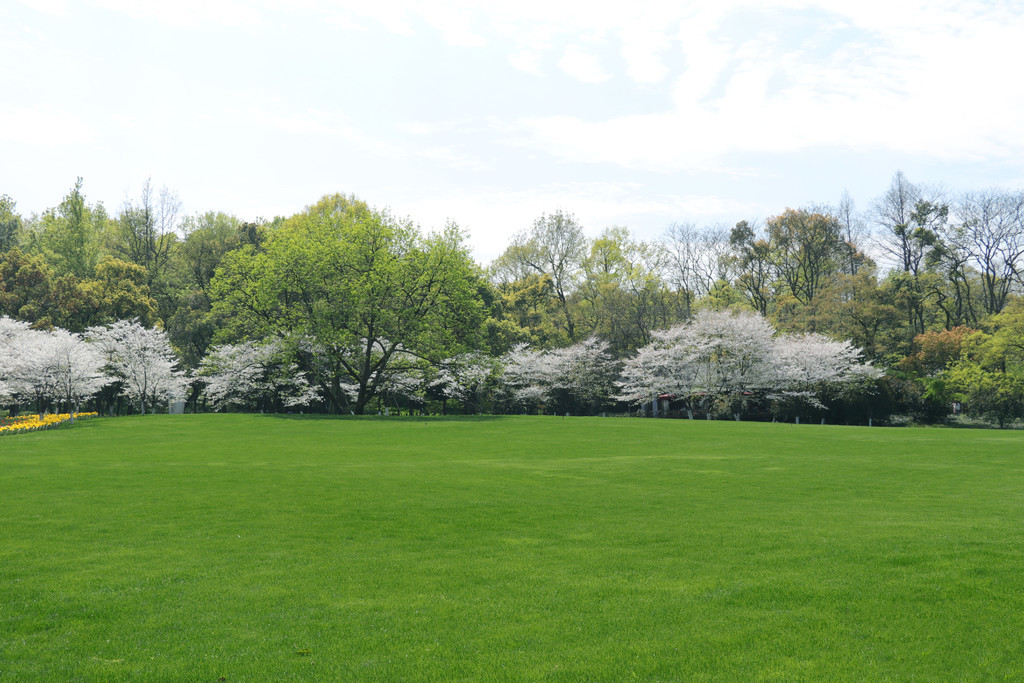 lenaanderson大合集 大合我非常乐意为你提供帮助