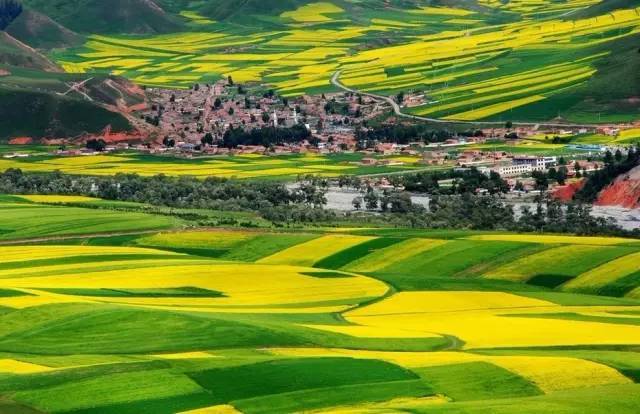 回家的路 - 51爆料 - 吃瓜黑料每日大赛聚集地!51bl.cool 大赛地需要自行甄别信息真伪