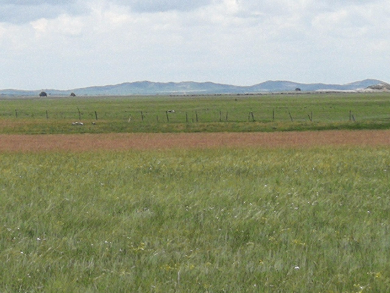 黑料周淑怡 黑料黑料增强了沉浸感