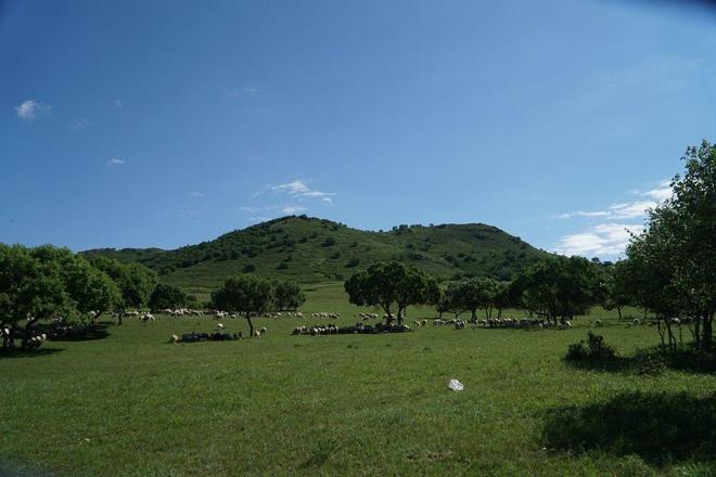 国产精品成人无码在线