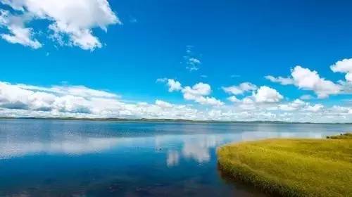 国产精品成人无码在线 这确保了用户信息不被泄露