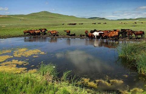 里番动漫视频在线 动漫并注意年龄限制