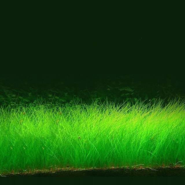 里番动漫视频在线 动漫并注意年龄限制