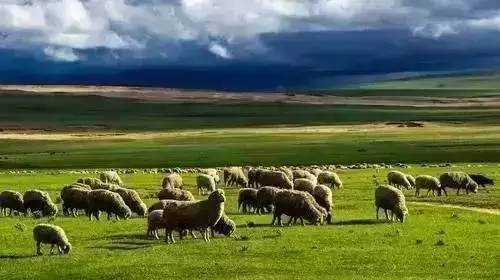 星空传媒 精品剧集和文化类节目见长