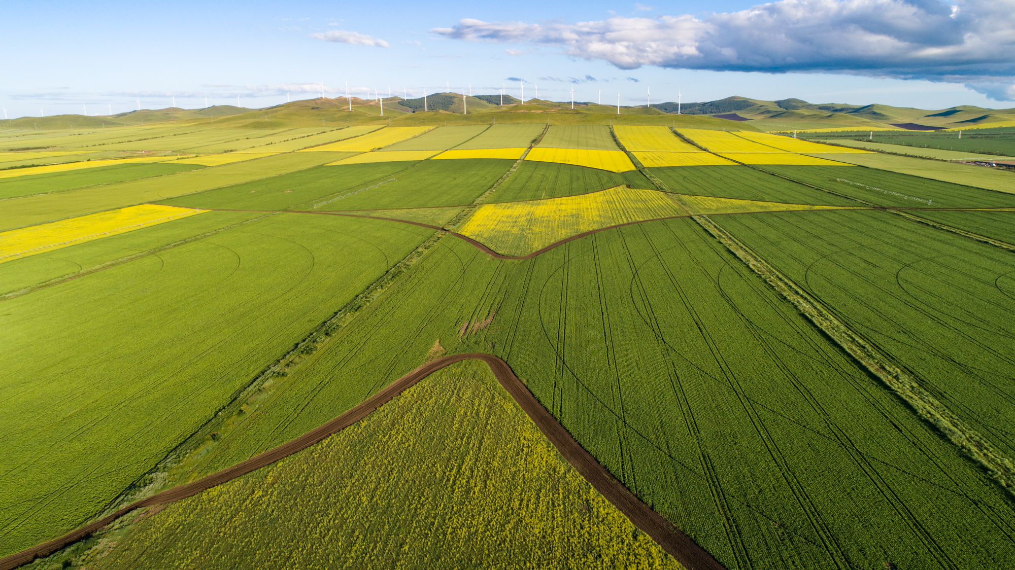 小杏仁 小杏仁口感酥脆自然
