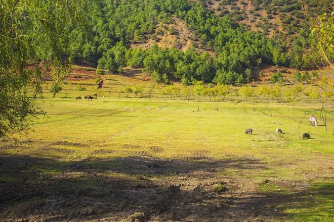七剑在线观看 无广告干扰的剑线观观影体验