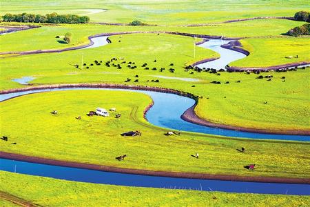 国内少妇偷人精品视频免费