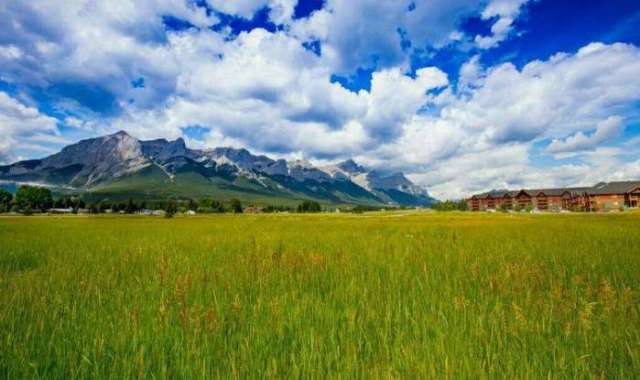 岛国岛国免费V片在线观看