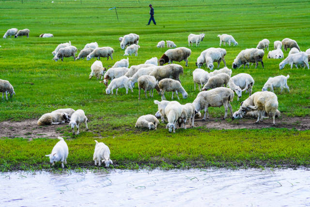 天堂在线天堂新版 线天以前打开个视频要等半天