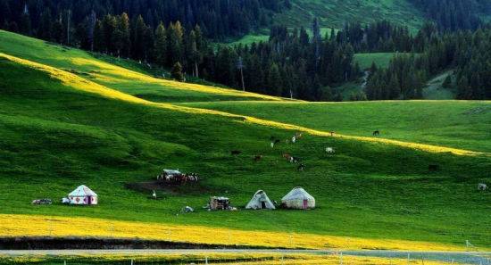 金善雅再续前缘 它也处于市场第一梯队