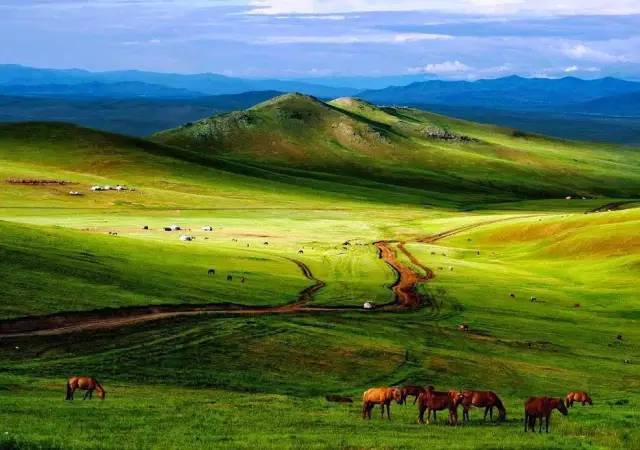 视频类 请直接上传视频文件