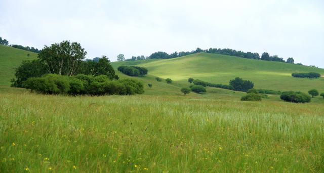 +火 影 忍 者 本子