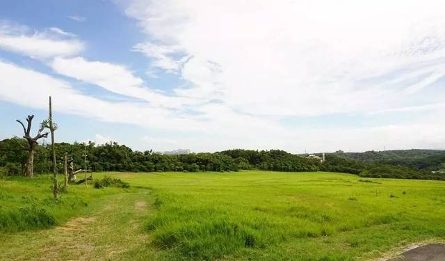 日韩精品在线播放