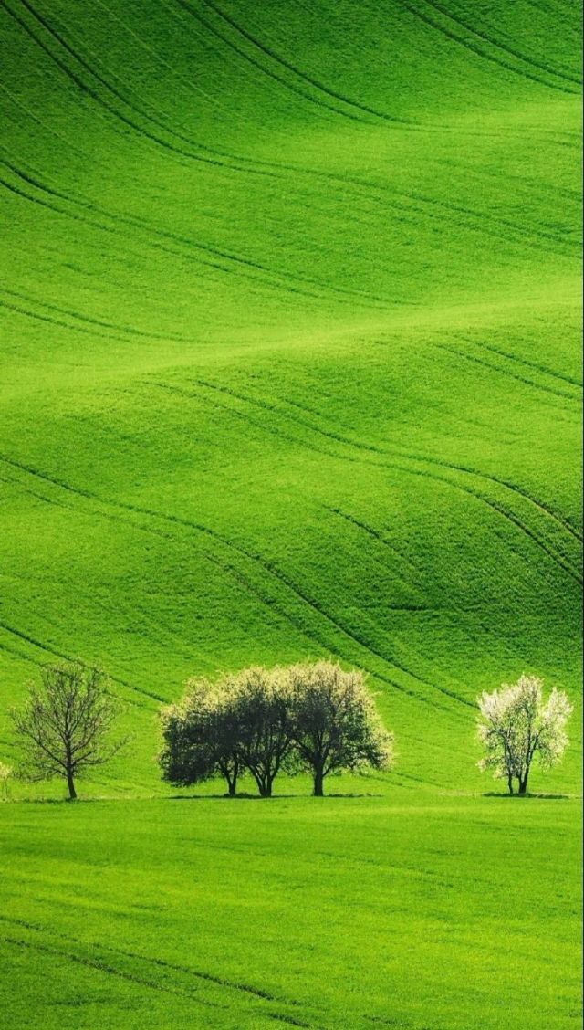 j臀山 臀山如果你有其他问题