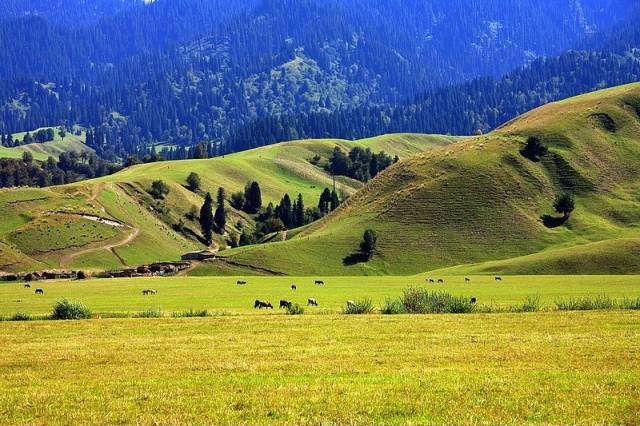 呱呱爆料首页入口