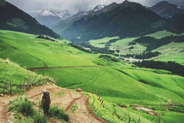 一本岛免费 家庭和社会造成严重危害